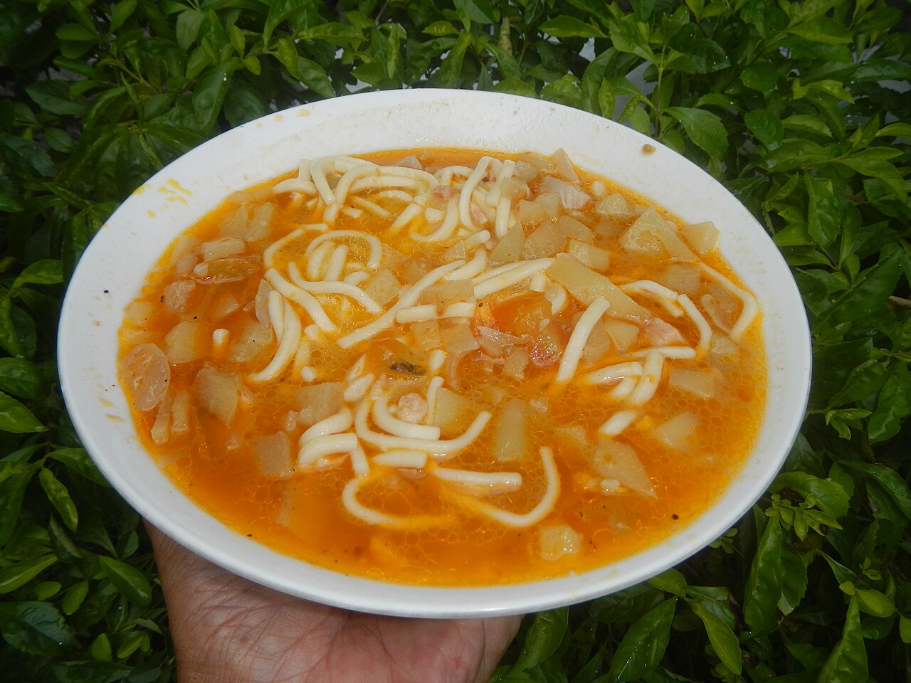 Chicken Noodle Soup